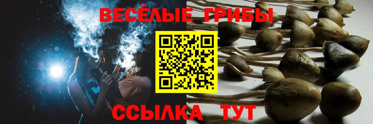 Псилоцибиновые грибы мухоморы  Псилоцибиновые грибы мухоморы  Луга  Вход с VPN 