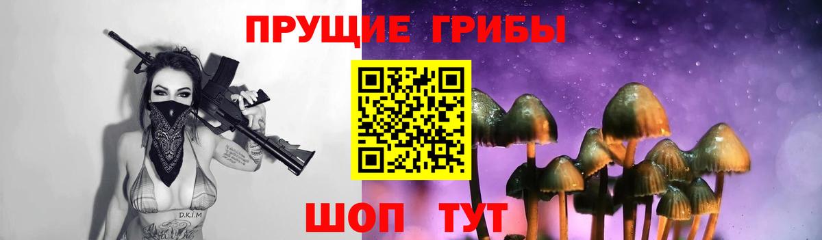 Галлюциногенные грибы прущие грибы Луга