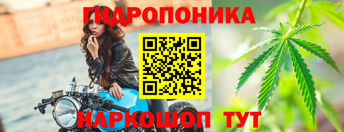 Шишки марихуана AK-47 Луга
